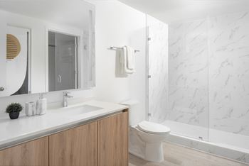 Frameless glass walk-in showers